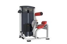 Разгибание спины Aerofit IT9532