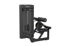 Разгибание спины Spirit Fitness SP-4310