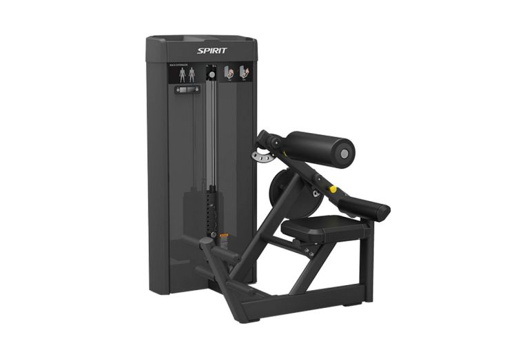 Разгибание спины Spirit Fitness SP-4310 