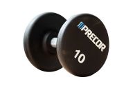 Гантели фиксированные в уретане 20 кг Precor FM\UPD-20KG