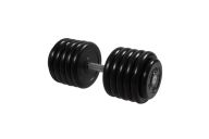 Гантель Профи с вращающающейся ручкой, 56 кг MB Barbell MB-FdbM-B56