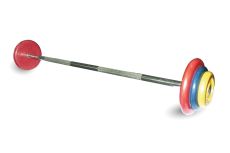 Штанга неразборная MB Barbell с цветными дисками, 25 мм, 42,5 кг MB-BarMW-C42,5