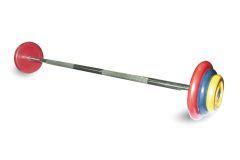 Штанга неразборная MB Barbell с цветными дисками D25мм, 17,5 кг MB-BarMW-C17,5