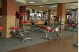 Скамья для пресса Aerofit IT7003 фото 1