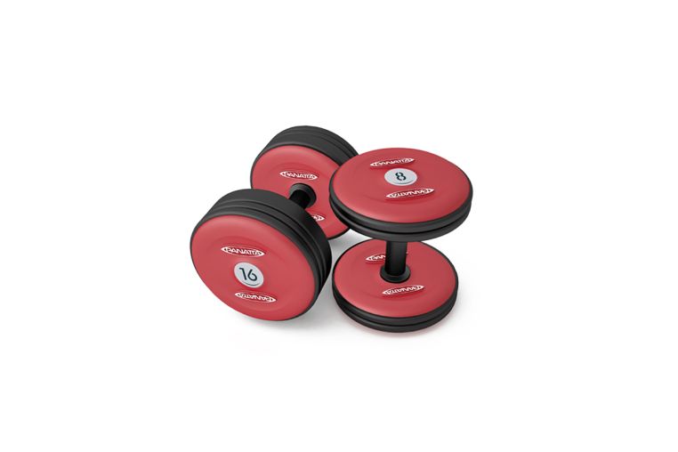 Гантель Panatta 52 кг 1MF52 
