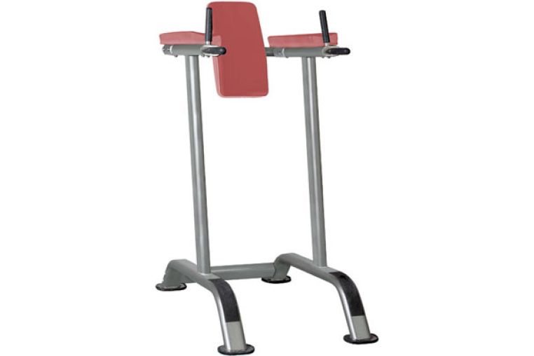 Поднятие коленей/брусья Aerofit IT7010 