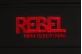 Тренажер пресс-турник-брусья REBEL V15 RVKR15 фото 1