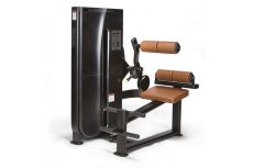 Разгибание спины UltraGym LS-122