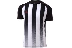 Футболка игровая Jogel Camp Striped Jersey, белый/черный