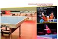 Теннисный стол Double Fish 233 черный фото 7