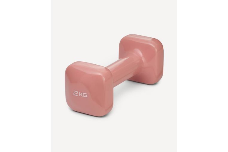 Гантель виниловая 2 кг Star Fit DB-106 терракотовый 
